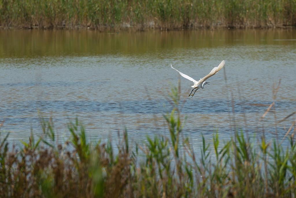 Vila Valgrande Bibione Casone Exteriér fotografie