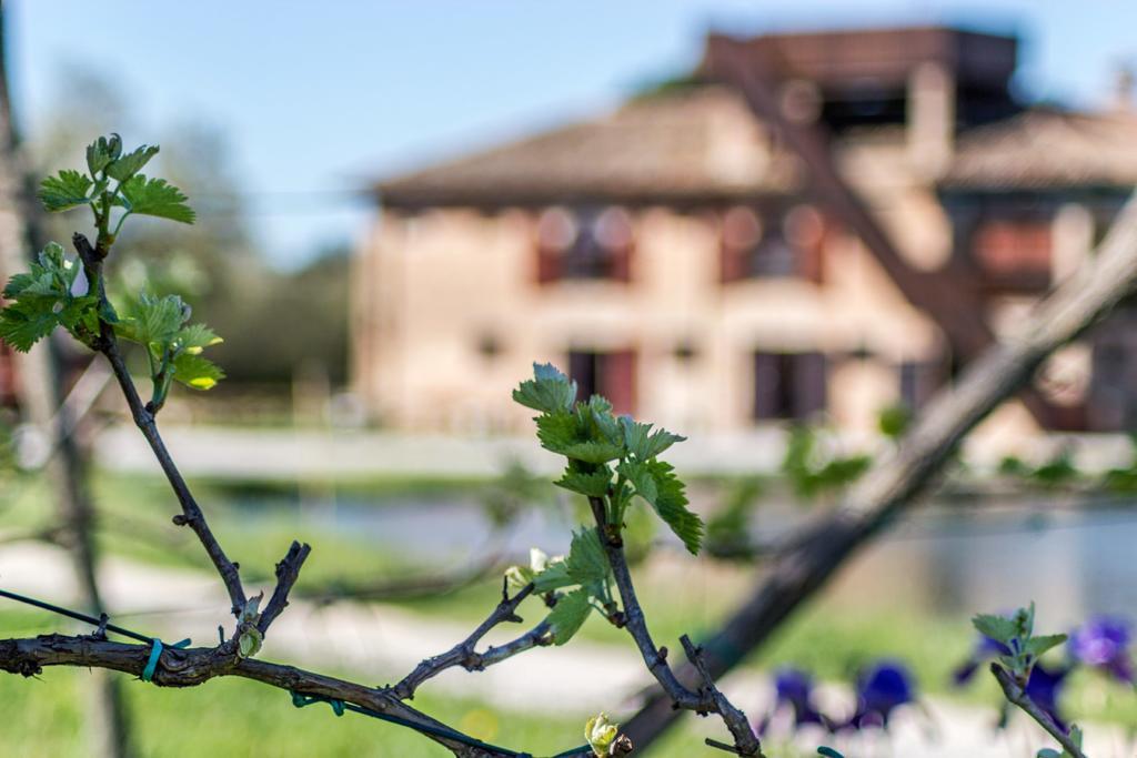 Vila Valgrande Bibione Casone Exteriér fotografie